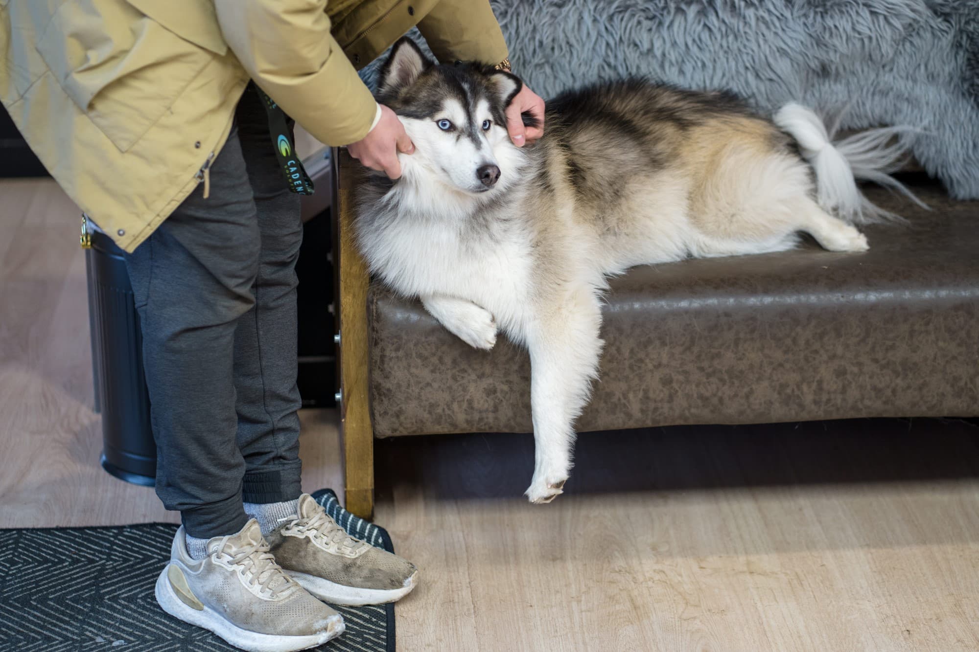 Husky Salon Companion Dollhouse Hair